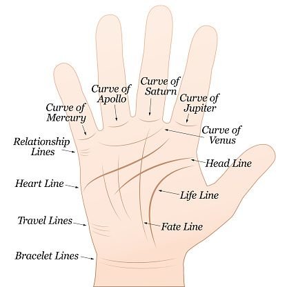 palmistry-lines-in-hand-as-per-the-best-palmist-dr-sohini-sastri